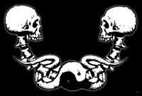 skull yin yang.JPG (9426 bytes)