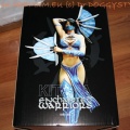 DrDMkM-Figures-2011-Sycocollectibles-Kitana-10-Inch-003