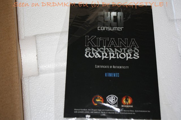 DrDMkM-Figures-2011-Sycocollectibles-Kitana-10-Inch-006