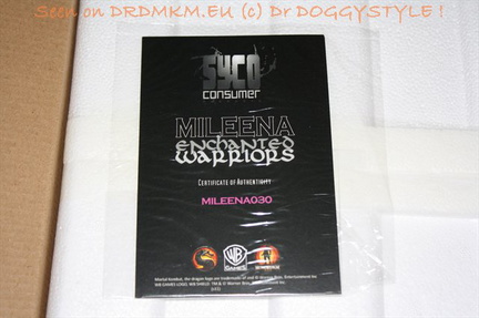 DrDMkM-Figures-2012-Sycocollectibles-Mileena-10-Inch-009