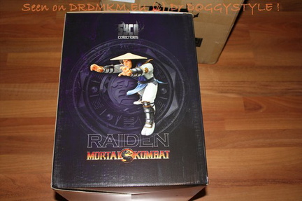 DrDMkM-Figures-2011-Sycocollectibles-Raiden-10-Inch-Exclusive-007