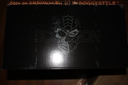 DrDMkM-Figures-2011-Sycocollectibles-Scorpion-1-2-Bust-Exclusive-003