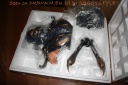 DrDMkM-Figures-2011-Sycocollectibles-Scorpion-1-2-Bust-Exclusive-013