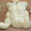 DrDMkM-Figures-Resin-Kit-Goro-Unpainted-012