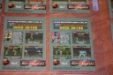 MK-Kollectors-Trading-Cards-Time-Zone-Magazine-MK2-04-Kitana-002