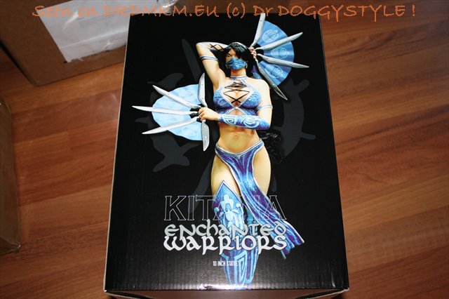 DrDMkM-Figures-2011-Sycocollectibles-Kitana-10-Inch-003.jpg