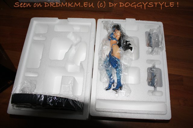 DrDMkM-Figures-2011-Sycocollectibles-Kitana-10-Inch-007.jpg