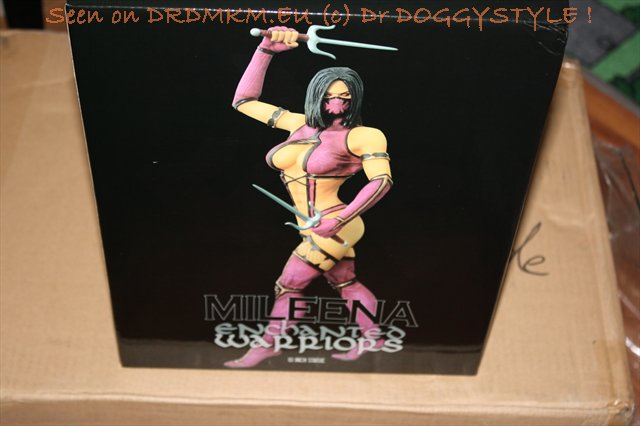DrDMkM-Figures-2012-Sycocollectibles-Mileena-10-Inch-006.jpg