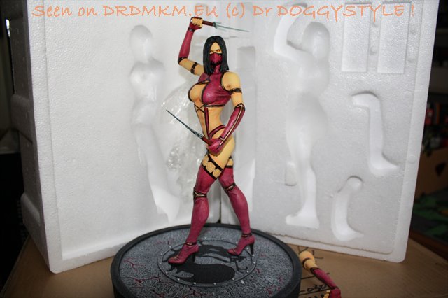 DrDMkM-Figures-2012-Sycocollectibles-Mileena-10-Inch-029.jpg