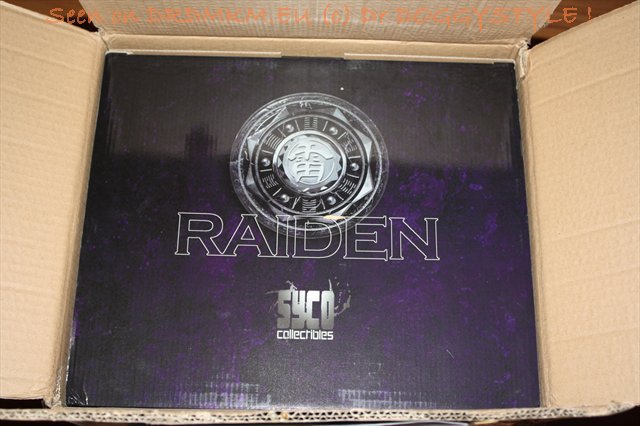 DrDMkM-Figures-2011-Sycocollectibles-Raiden-10-Inch-Exclusive-002.jpg