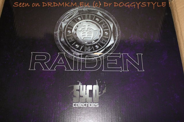 DrDMkM-Figures-2011-Sycocollectibles-Raiden-10-Inch-Exclusive-003