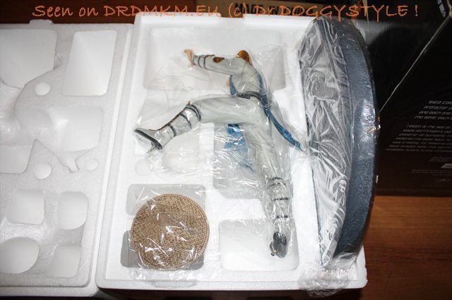 DrDMkM-Figures-2011-Sycocollectibles-Raiden-10-Inch-Exclusive-010 - DrDMkM-Figures-2011-Sycocollectibles-Raiden-10-Inch-Exclusive-010.jpg DrDMkM-Figures-2011-Sycocollectibles-Raiden-10-Inch-Exclusive-010.jpg