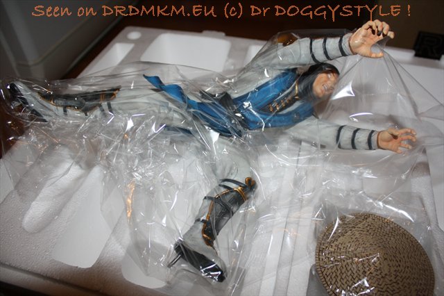 DrDMkM-Figures-2011-Sycocollectibles-Raiden-10-Inch-Exclusive-014.jpg