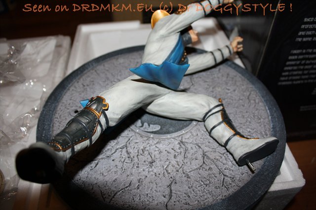 DrDMkM-Figures-2011-Sycocollectibles-Raiden-10-Inch-Exclusive-017.jpg