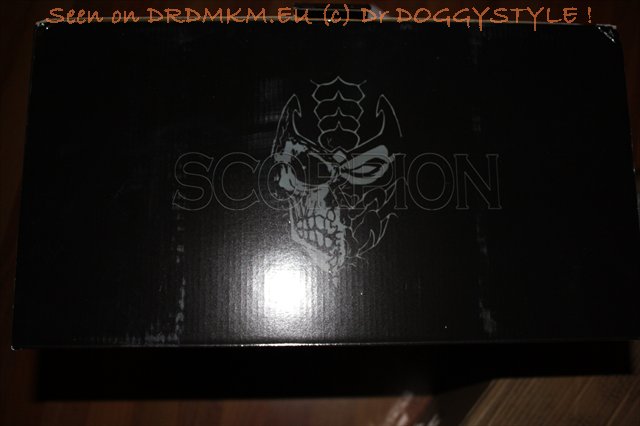 DrDMkM-Figures-2011-Sycocollectibles-Scorpion-1-2-Bust-Exclusive-003.jpg