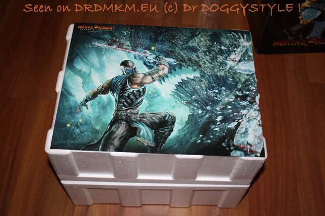 DrDMkM-Figures-2011-Sycocollectibles-Sub-Zero-10-Inch-Exclusive-006