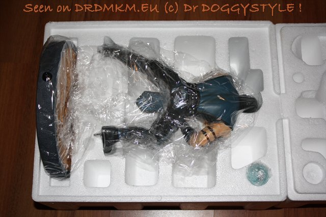 DrDMkM-Figures-2011-Sycocollectibles-Sub-Zero-10-Inch-Exclusive-010.jpg