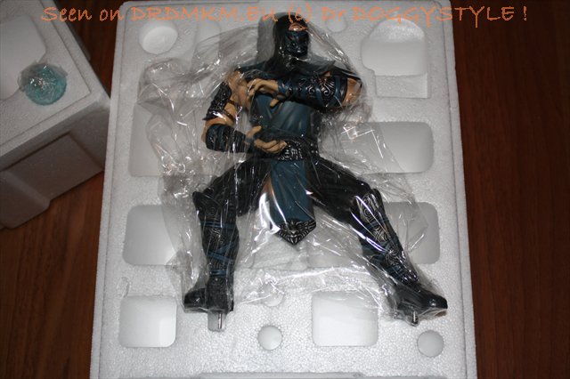 DrDMkM-Figures-2011-Sycocollectibles-Sub-Zero-10-Inch-Exclusive-013.jpg