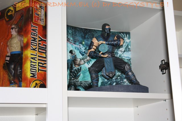 DrDMkM-Figures-2011-Sycocollectibles-Sub-Zero-10-Inch-Exclusive-028.jpg