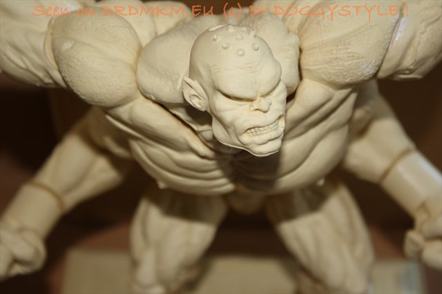 DrDMkM-Figures-Resin-Kit-Goro-Unpainted-021.jpg