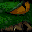 Centipede.gif (1301 bytes)