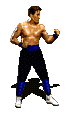 Cage blue.gif (13461 bytes)