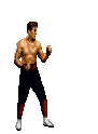 animated_johnny_cage_axe_kick_mk2.gif (7979 bytes)
