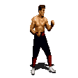 animated_johnny_cage_split_mk2.gif (9559 bytes)