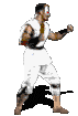 animated_kano_mk1.gif (10940 bytes)