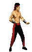 animated_liu_kang_fire_mk2.gif (3932 bytes)
