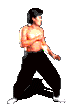 animated_liu_kang_mk1.gif (10145 bytes)