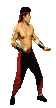 animated_liu_kang_mk2.gif (5875 bytes)