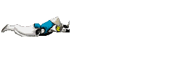 animated_rayden_dive_mk2.gif (12029 bytes)