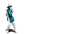 animated_rayden_electro_shot_mk2.gif (56894 bytes)