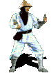 animated_rayden_mk1.gif (100071 bytes)