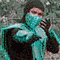 chameleon.gif (11185 bytes)