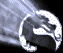 smkdragon.gif (34761 bytes)
